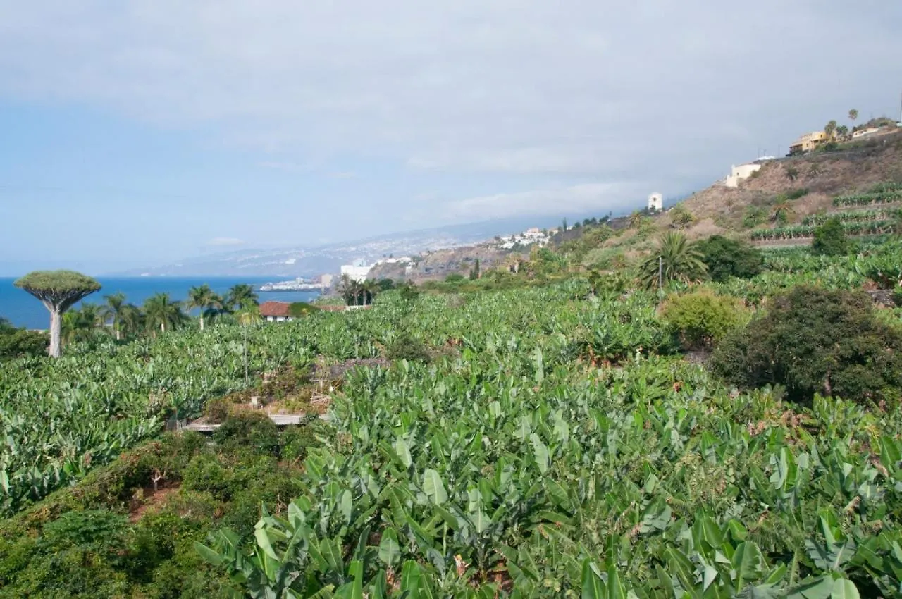 Villa Casa Catuja Los Realejos Spanien